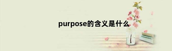 purpose的含义是什么
