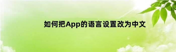 如何把App的语言设置改为中文
