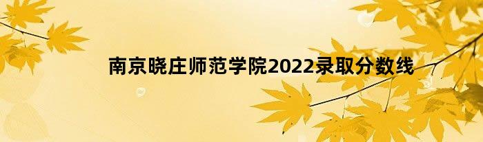 南京晓庄师范学院2022录取分数线